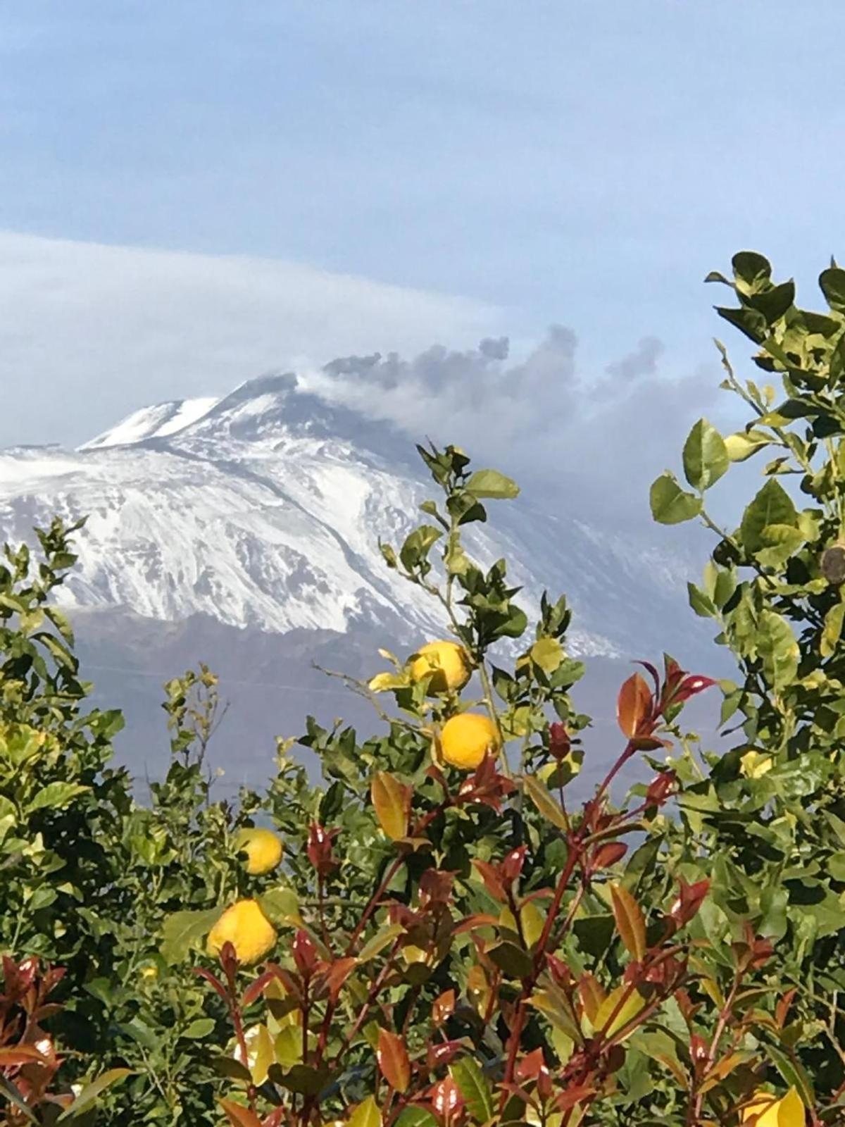 Vista Mare Etna Διαμέρισμα Acireale Εξωτερικό φωτογραφία